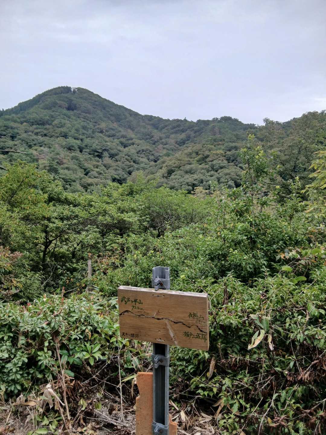 武名ヶ平山が見えます。