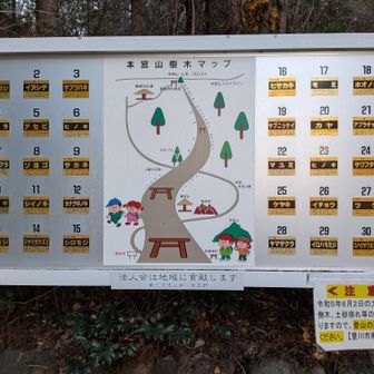 本宮山樹木マップ