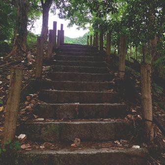 山頂にたどり着くよりも強い達成感カモ⤴　