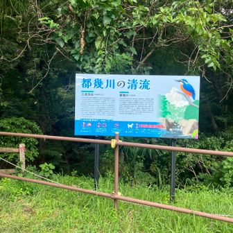 渓谷に来ました
