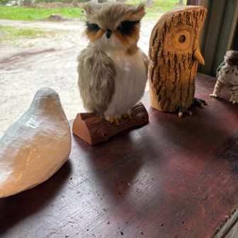 なかざわえいき