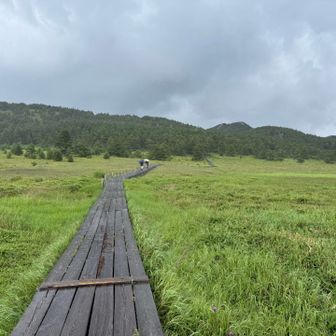 周回予定でしたが、雨足がひどく湿原までおりてきました。
傘をさして歩く。
すっごい雨と雷。
傘の意味なし。
途中の東屋で少し雨宿りするけど、やみそうにないので車までダッシュ。
びしゃんこ
