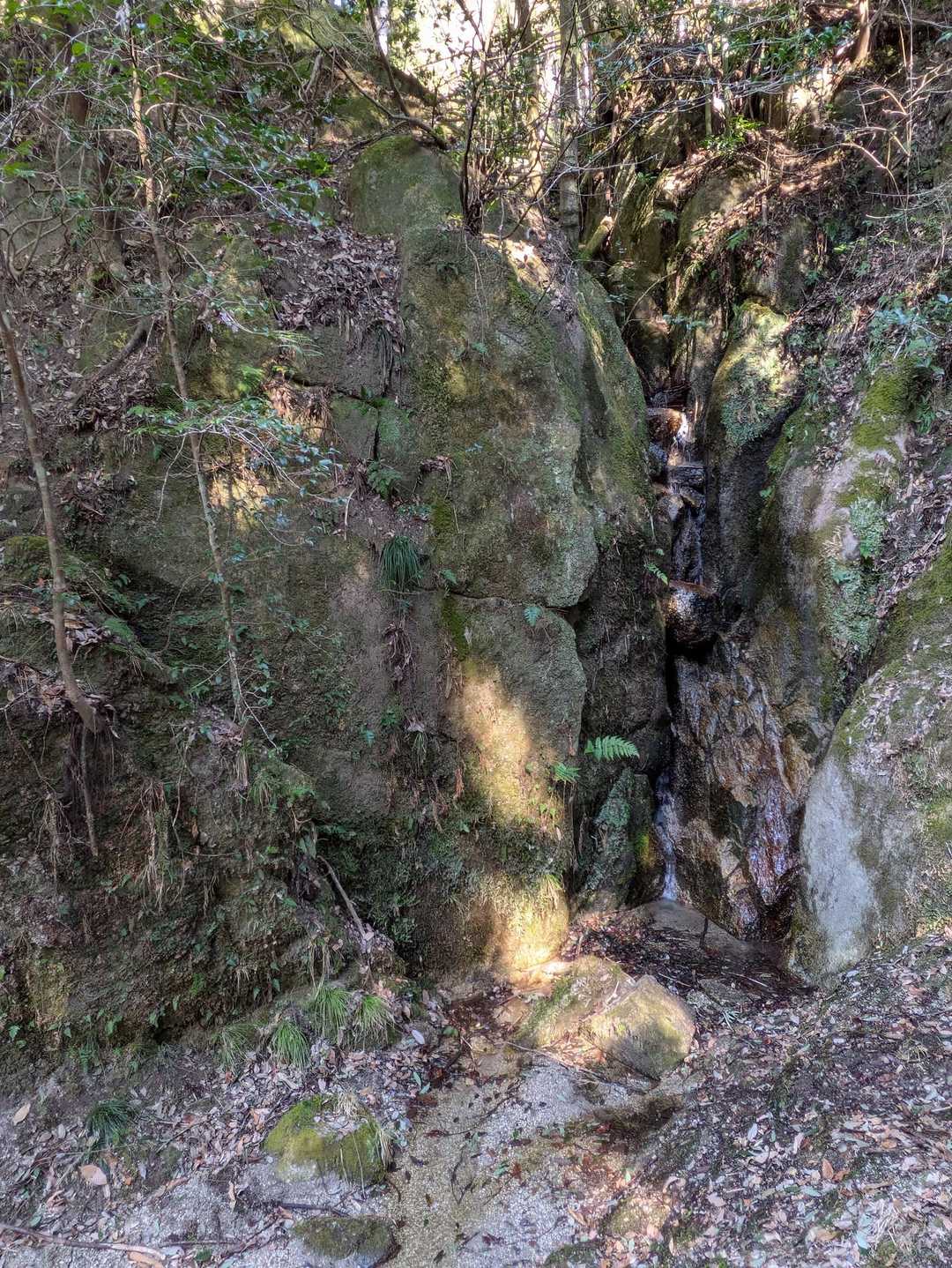 不動の滝
水の量少なくて迫力なし🍐
