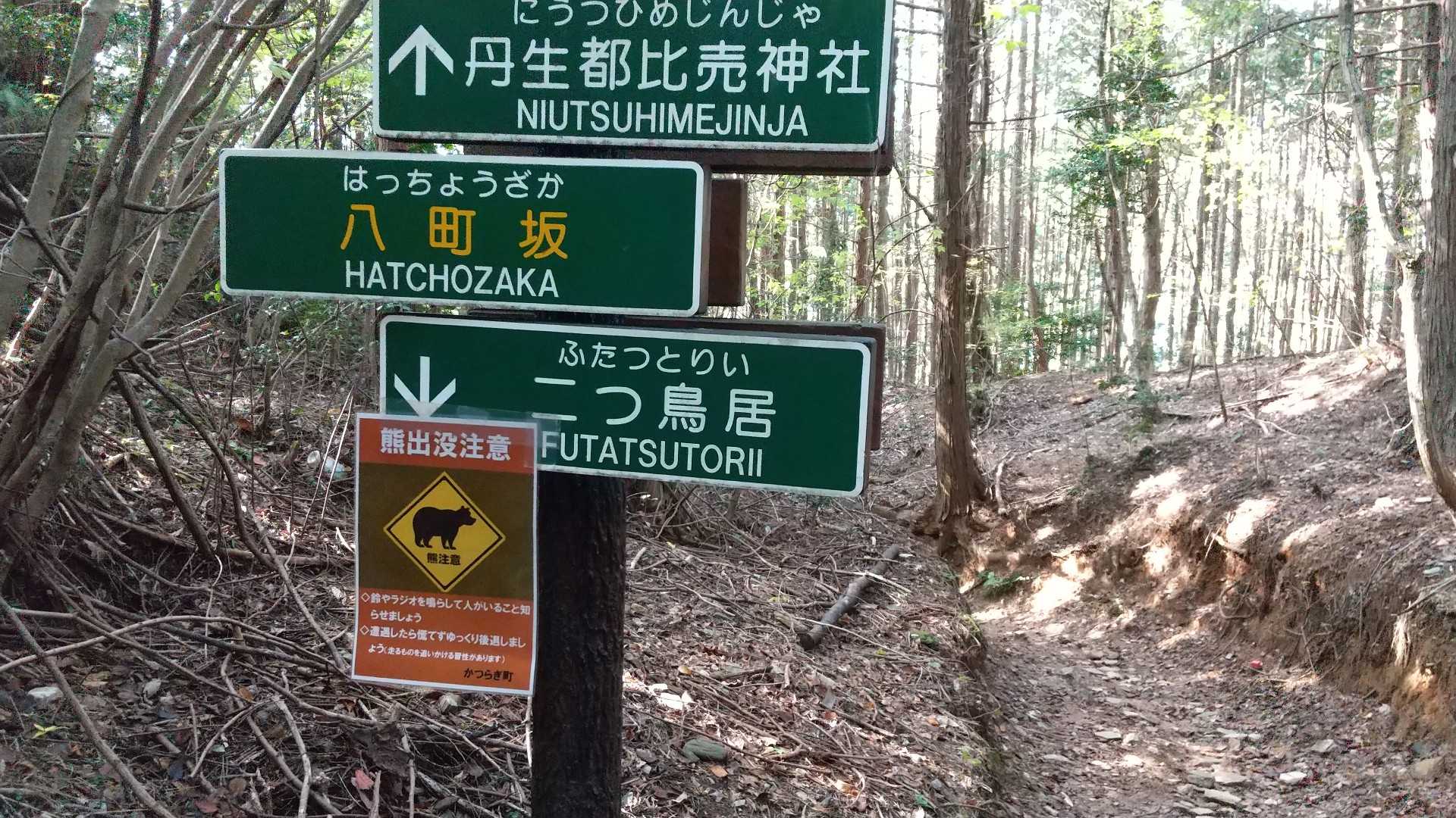 八町坂を下ります