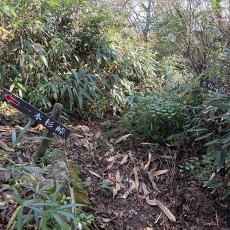 山頂を囲う擁壁の脇を通って一本杉峠へ向かいます。