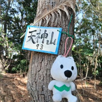 わかやん
