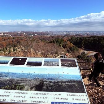 龍籠山展望台からの眺め
ビル🏙️群や青梅、北高尾、青梅あたりの山々⛰️がみえます　スカイツリーも見えました