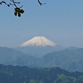 まりっち