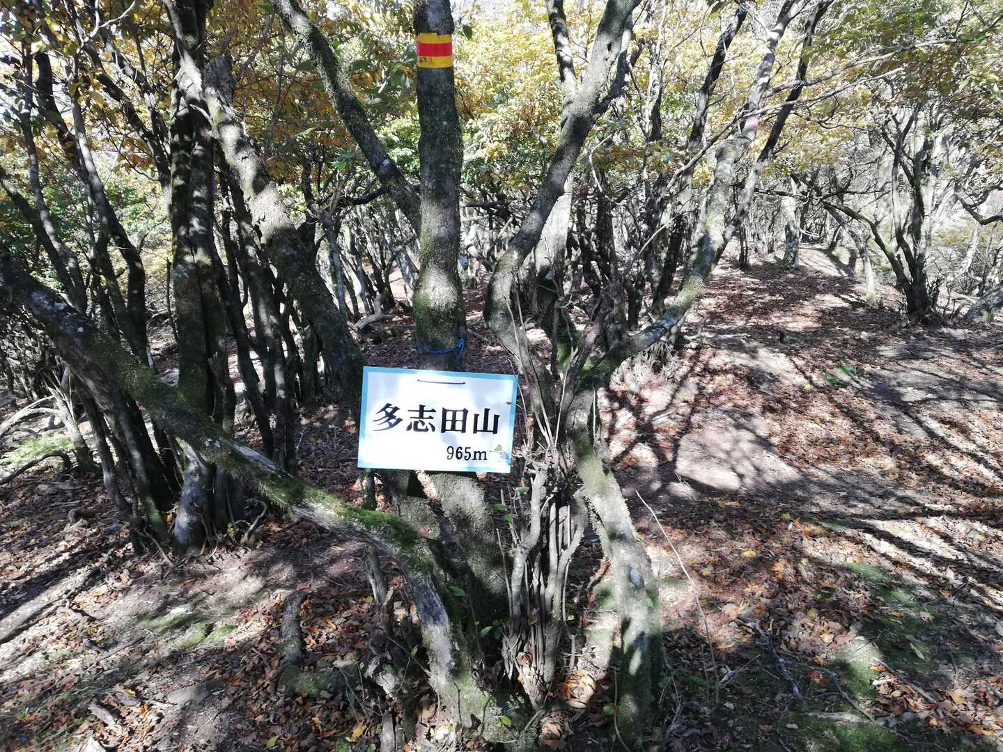 多志田山の写真
