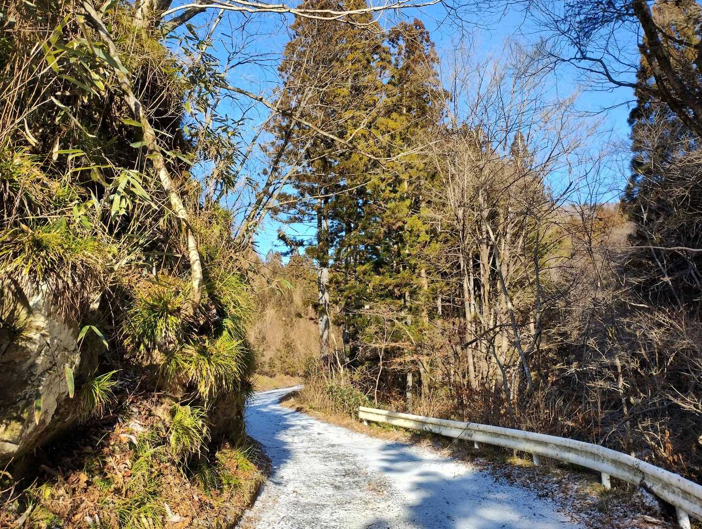 始めは林道を歩きます✨