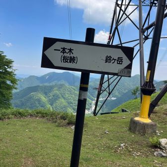 一本木（桜峠）に到着。
茶野へは御池岳の手前の鈴ヶ岳方向には行かず、反対方向へ。