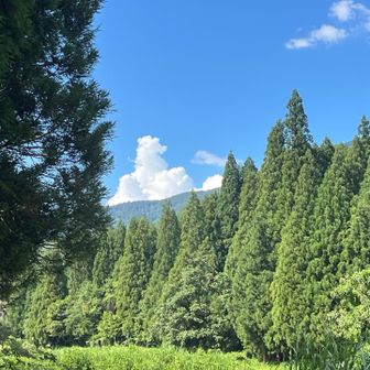 入道雲