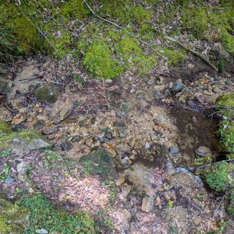 途中、登山道から少し下りて、大日小屋目の前の水場。撮り方も悪いけど、もはや水たまり程度。