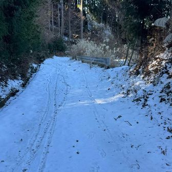 降りすぎた、、、戻る