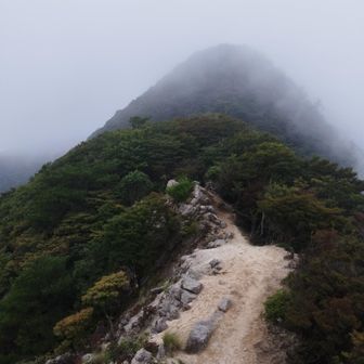 釈迦ヶ岳の雄姿！