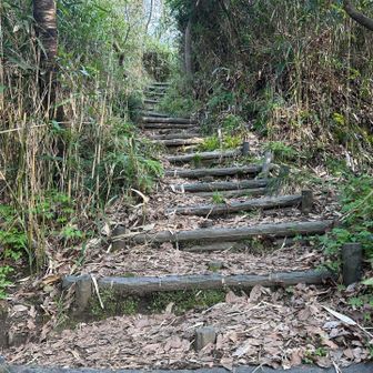 わりと急な階段…