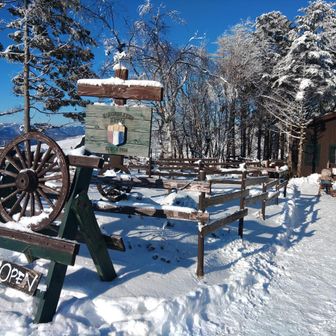 ころぼっくるひゅって　ボルシチが旨いとのこと