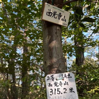 そして西光寺山315.2m