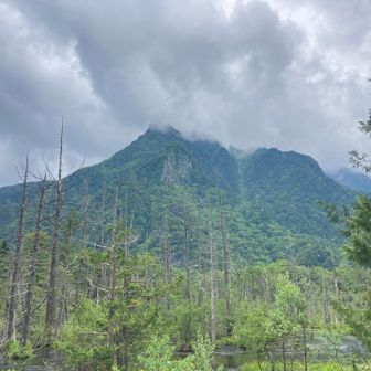 六百山も雲の中