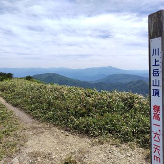 川上岳(かおれだけ)山頂
当然、ここまで私は、かわかみだけと思って登って来ました😅