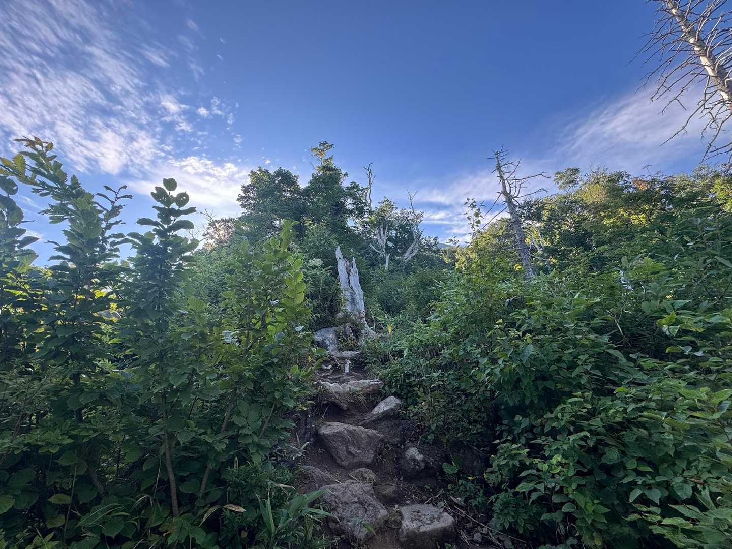 比羅夫登山口-羊蹄山 往復コースの写真