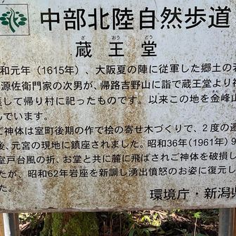 蔵王堂の由来
大阪夏の陣に由来すると書かれてる！！
当時こんなところから大阪まで歩いて行って、帰りに御神体を持ち帰った人が居たなんて！
おそらく難路の糸魚川の親不知の海岸沿いを通ったんだろうなぁ
