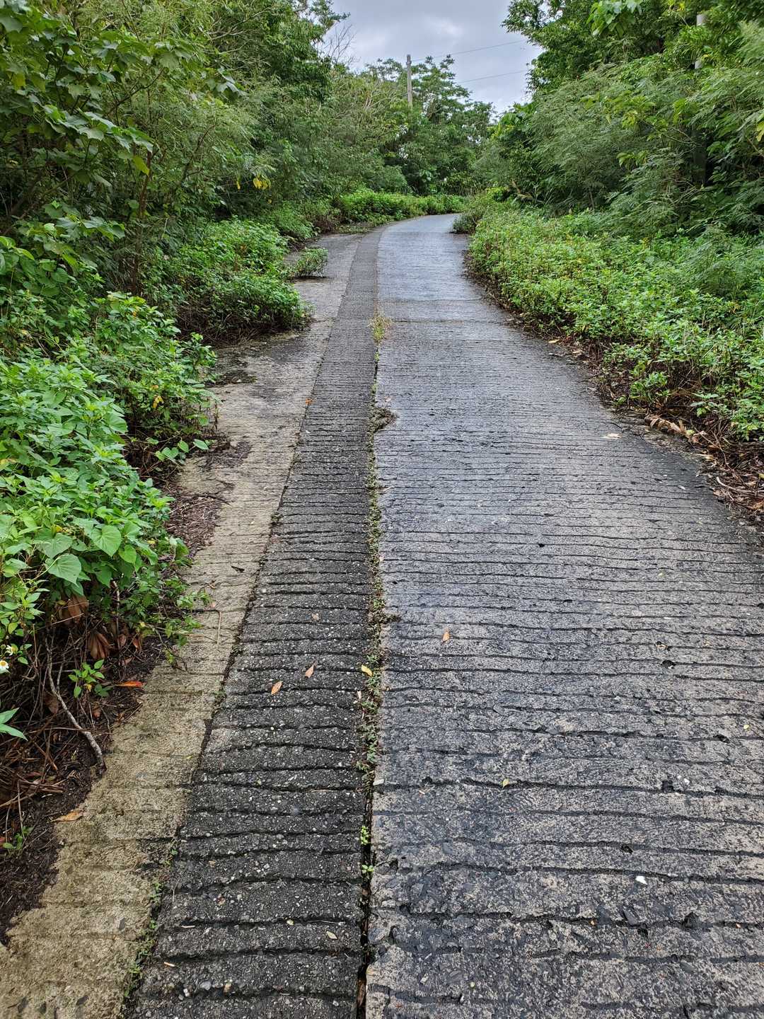 上に中継所があるので、基本…車道です😅