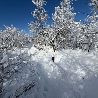でもこの雪の楽しさがあって