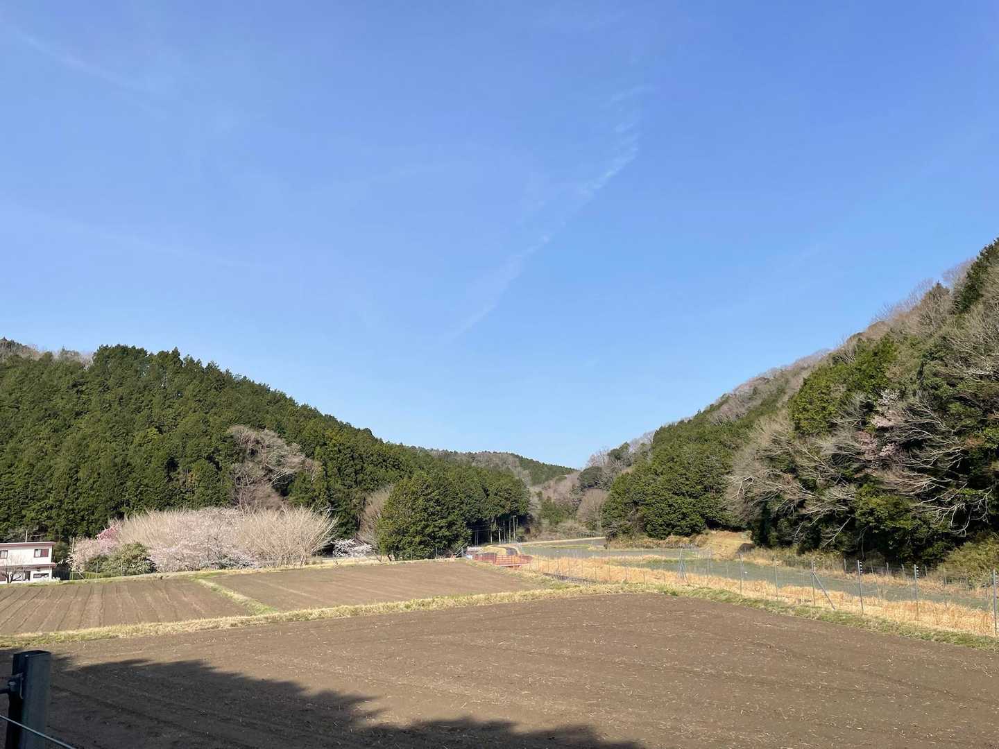 のどかだねぇ〜🤗