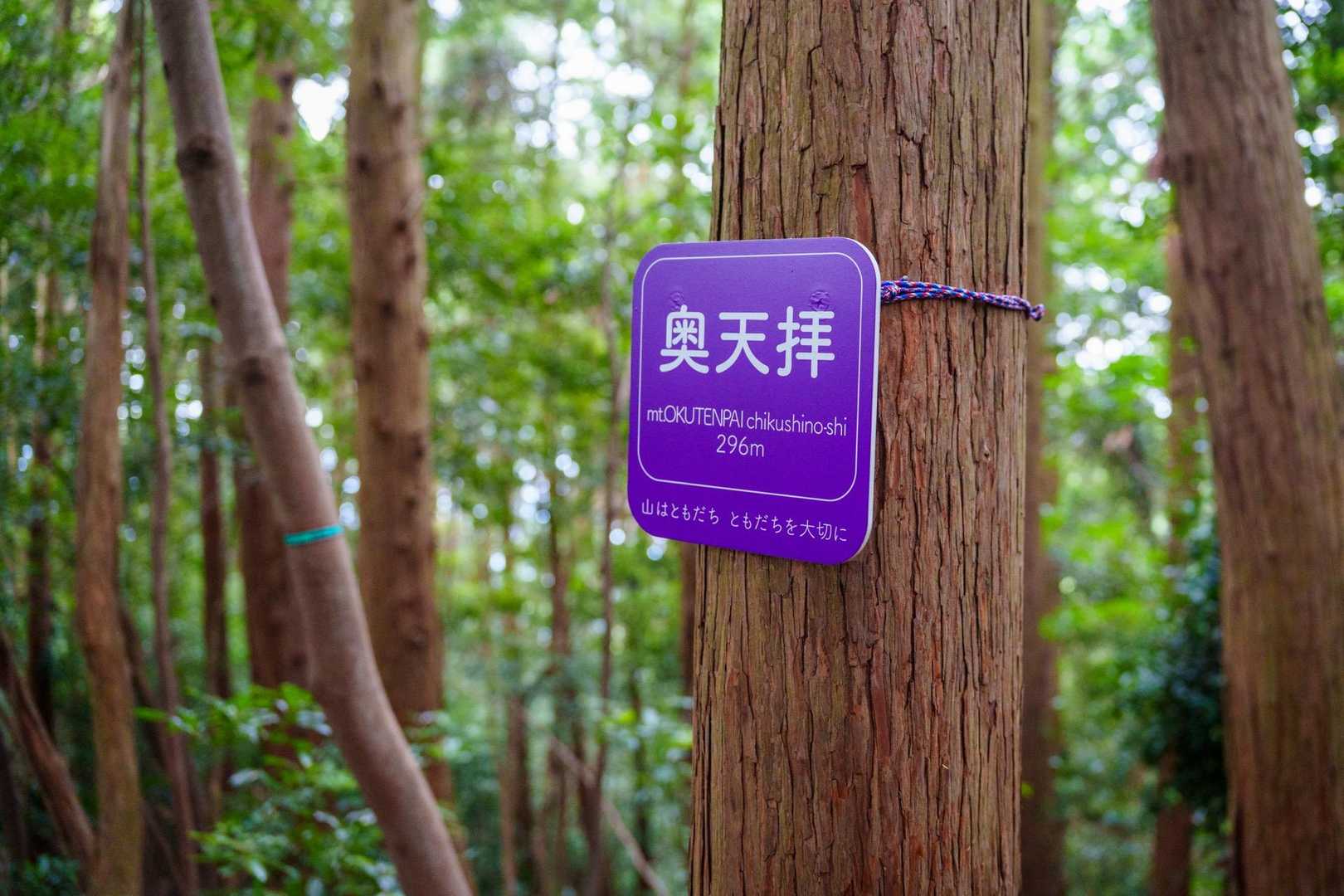 天拝山 | 天神さまが祈りを捧げた山頂へ。下山後は名湯・二日市温泉への写真