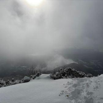 息整えてる間に白くなっちゃった