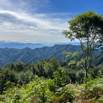 信州百名山・虫倉山と、スカイラインを描く名峰たち。
