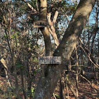 残念ながら展望はありません