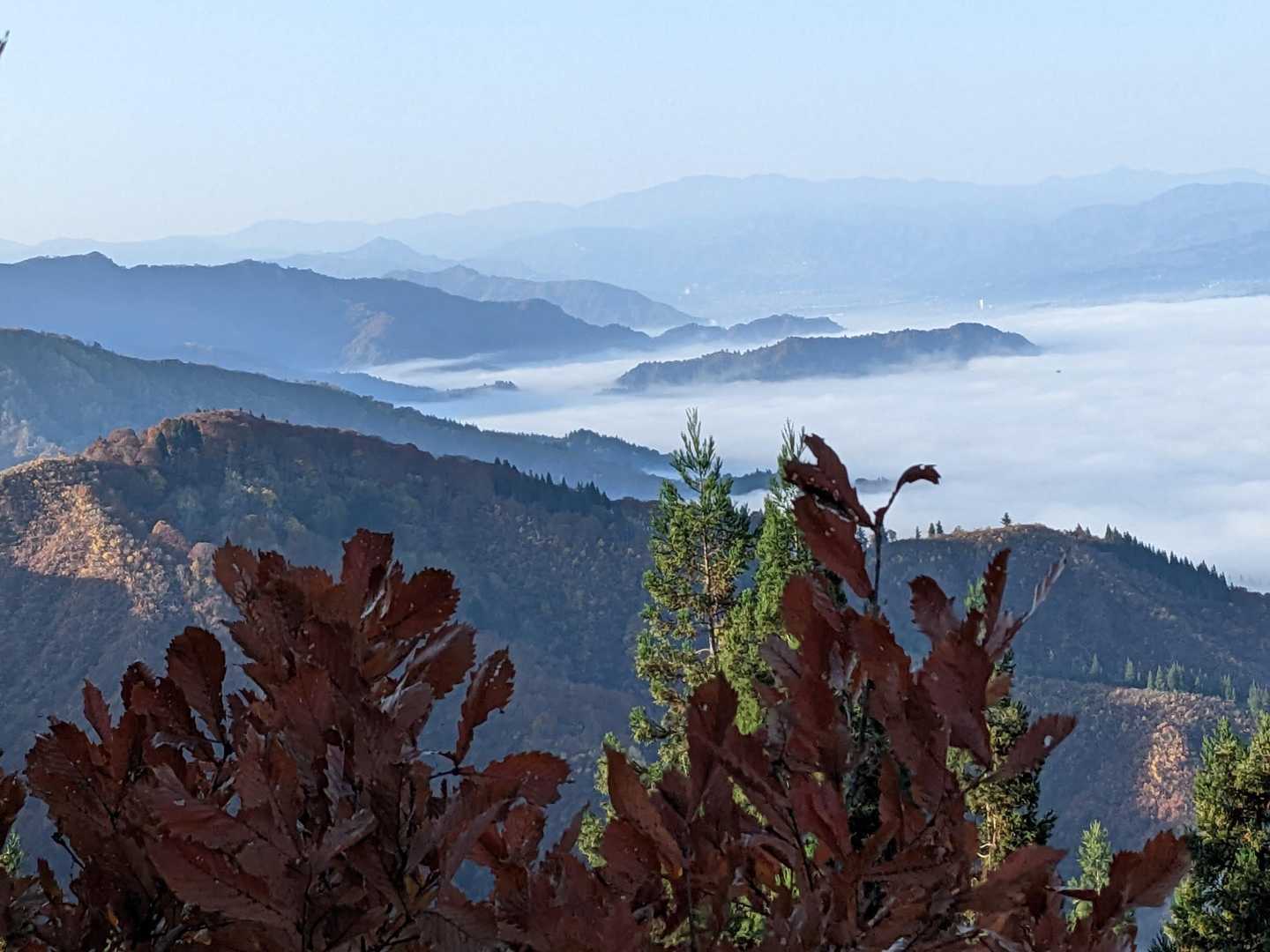 雲海☁に浮かぶ山🗻☺️
