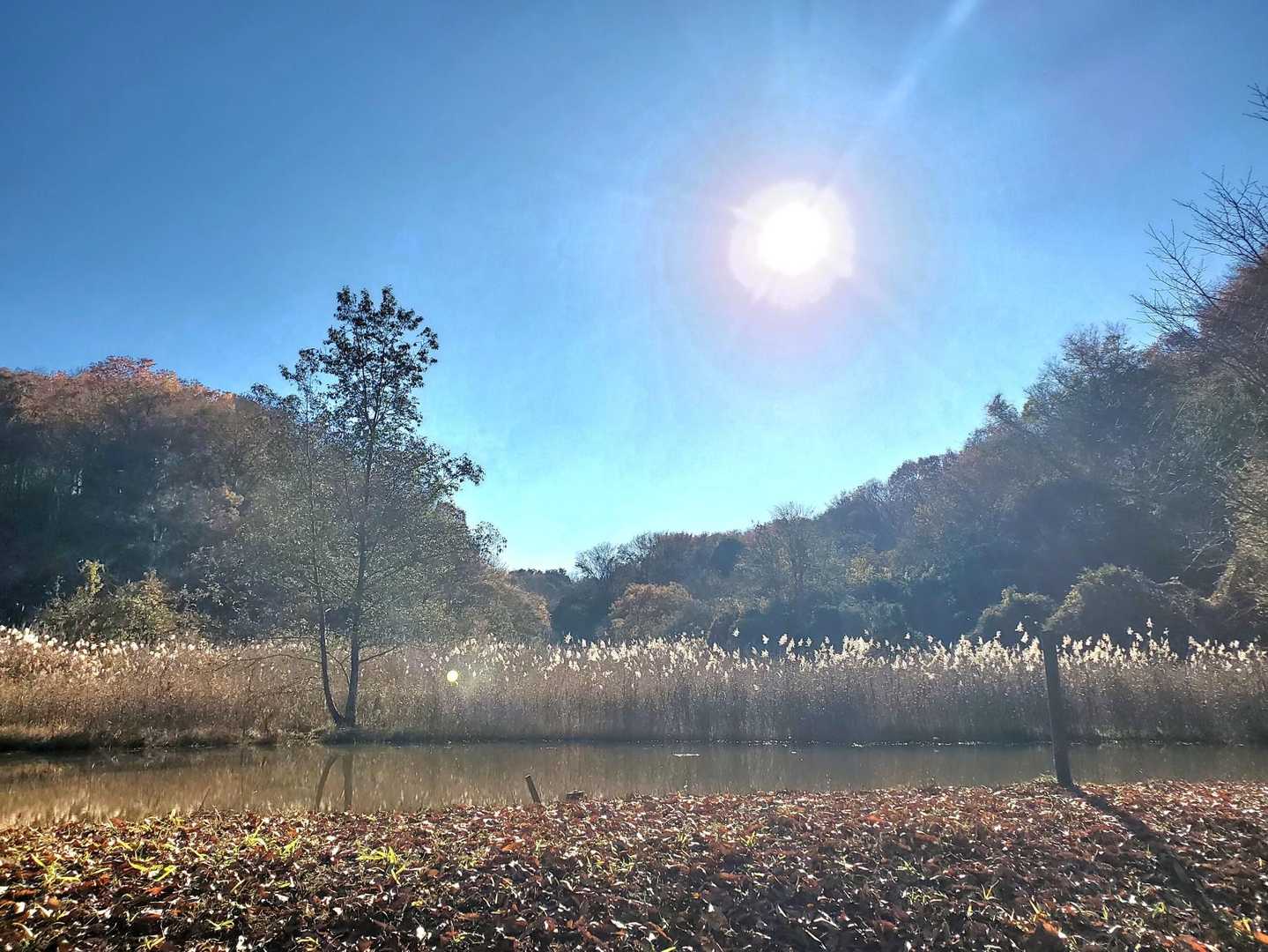 案内所まで戻って来ました。
気持ちよ良い【山歩】でした☺️