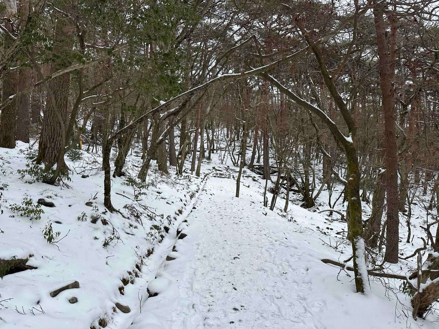 静かな雪山。。
