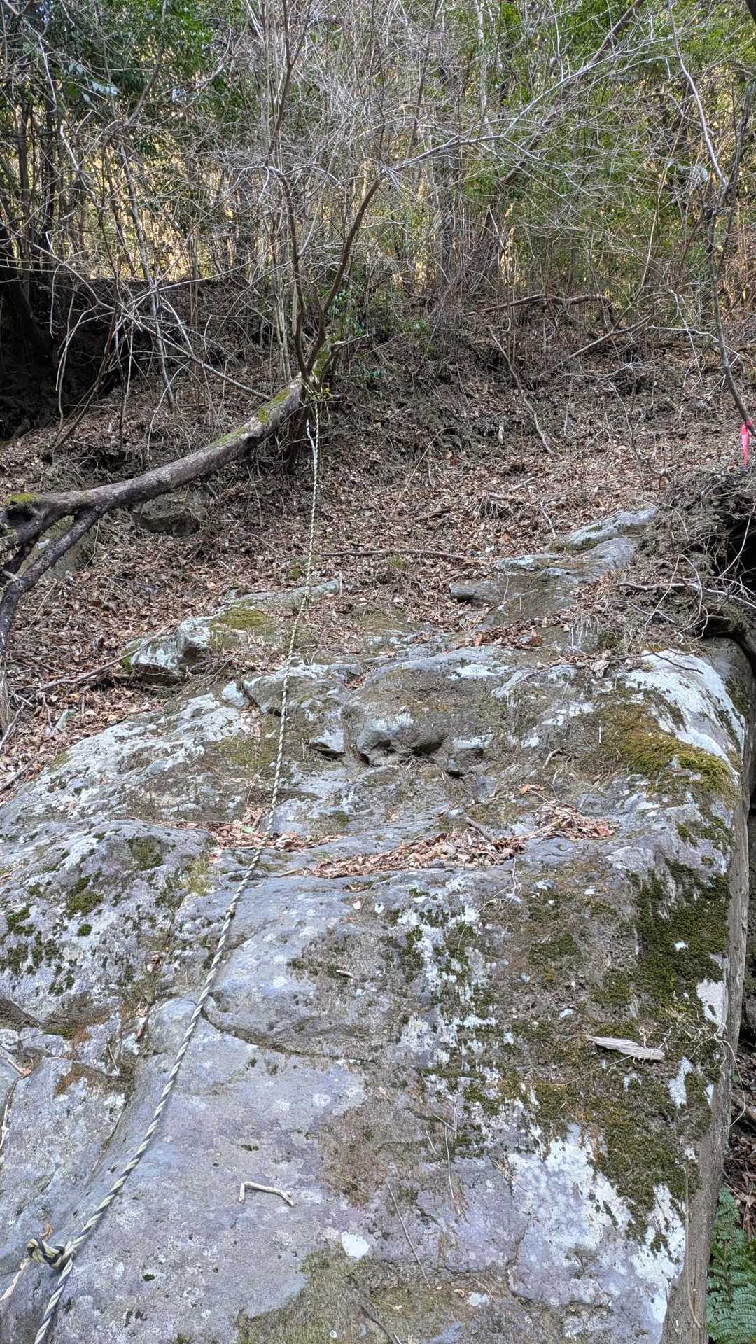 岩場