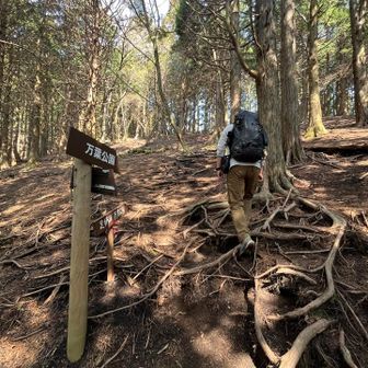 登っていきます(๑ •̀ω•́)۶ﾌｧｲﾄ!!