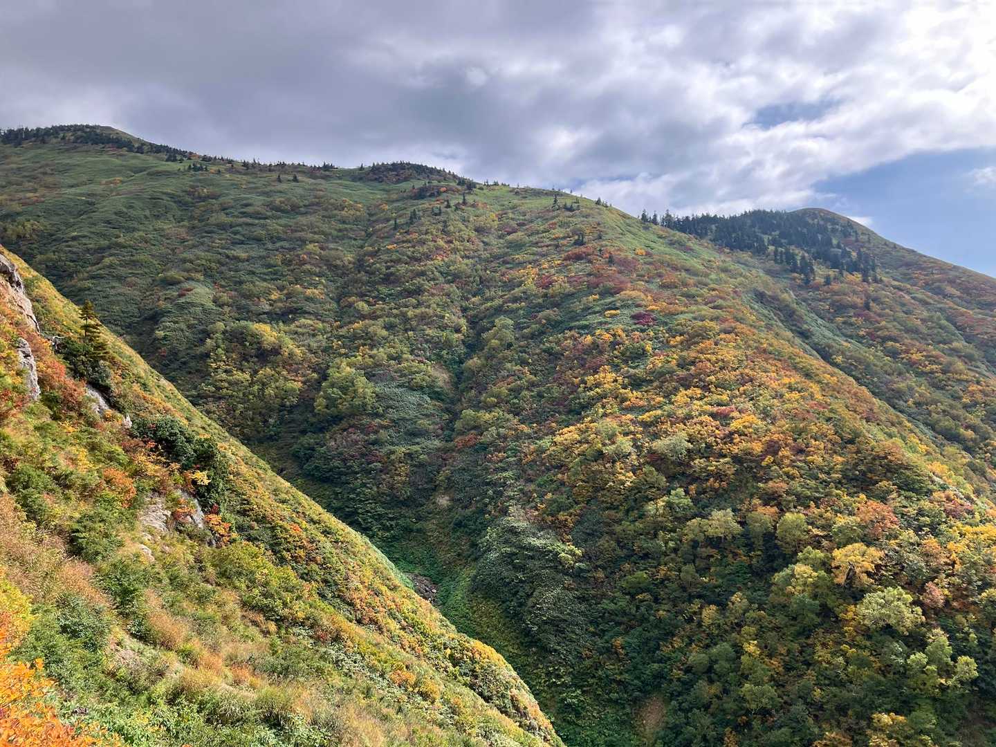 巻機山登山口-割引岳-巻機山-前巻機 周回コースの写真