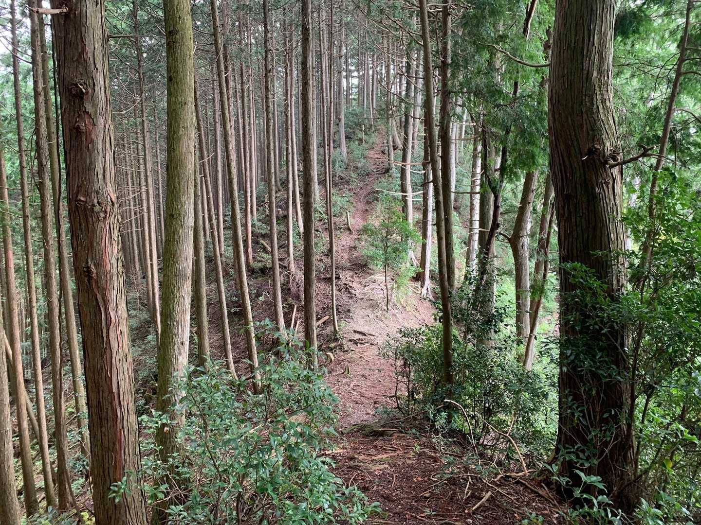 帰り道で改めて登り返しが多いと❗️