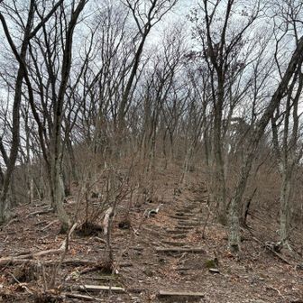 鳴神山への登り返し。
ピークが多いので登り返しも多い😣