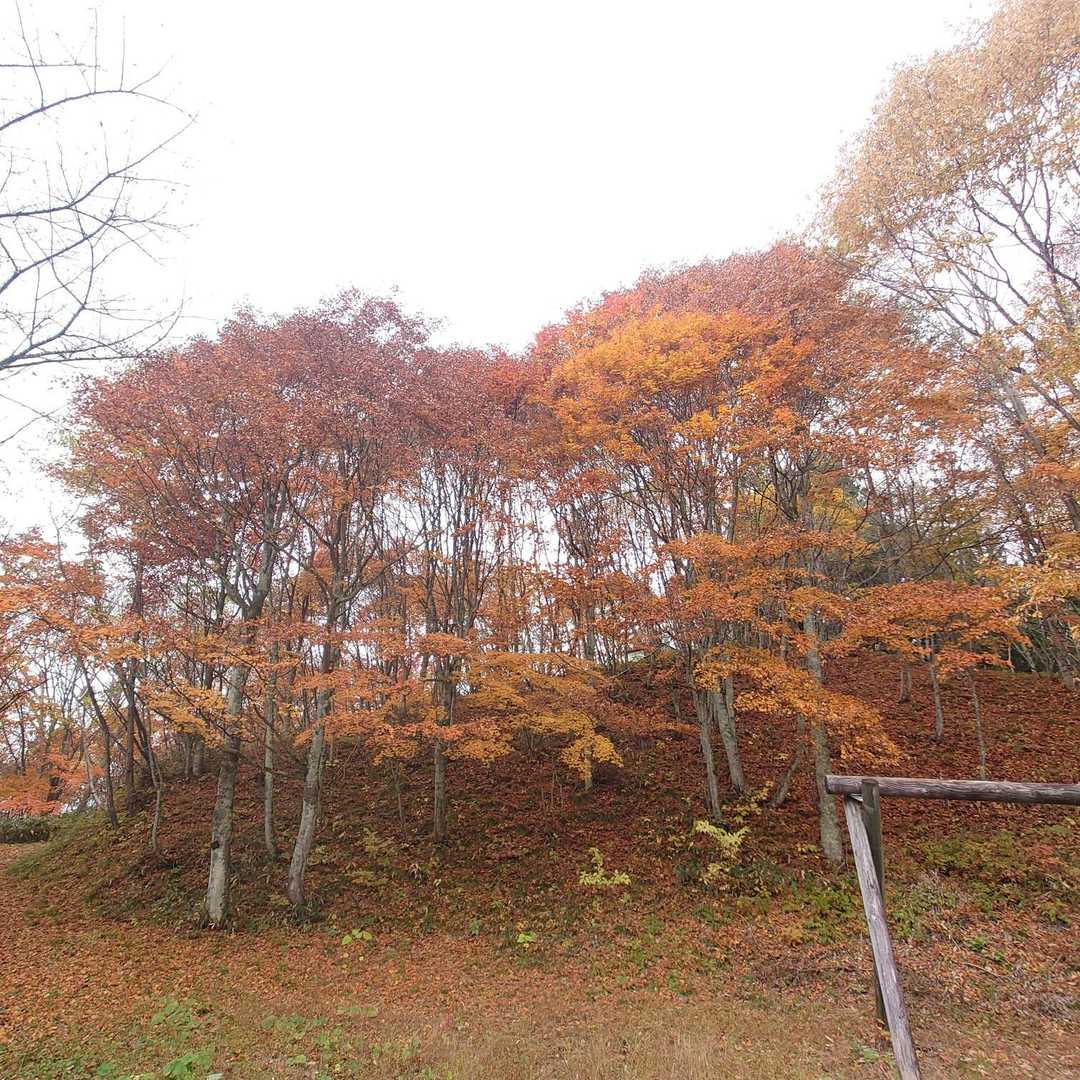 もう一つの駐車スペースが「星のきらめく公園」という名称でしたので、足をのばしてみました
来てよかった👍見事な紅葉🍁