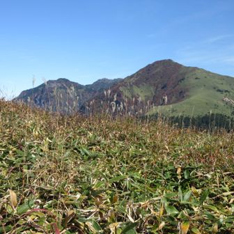 左が西の冠岳、中央が石鎚、右が二ノ森
