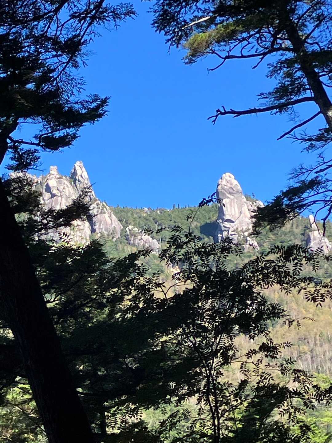 瑞牆山荘バス停-瑞牆山-魔子の山登り口-金山平バス停-みず 縦走コースの写真