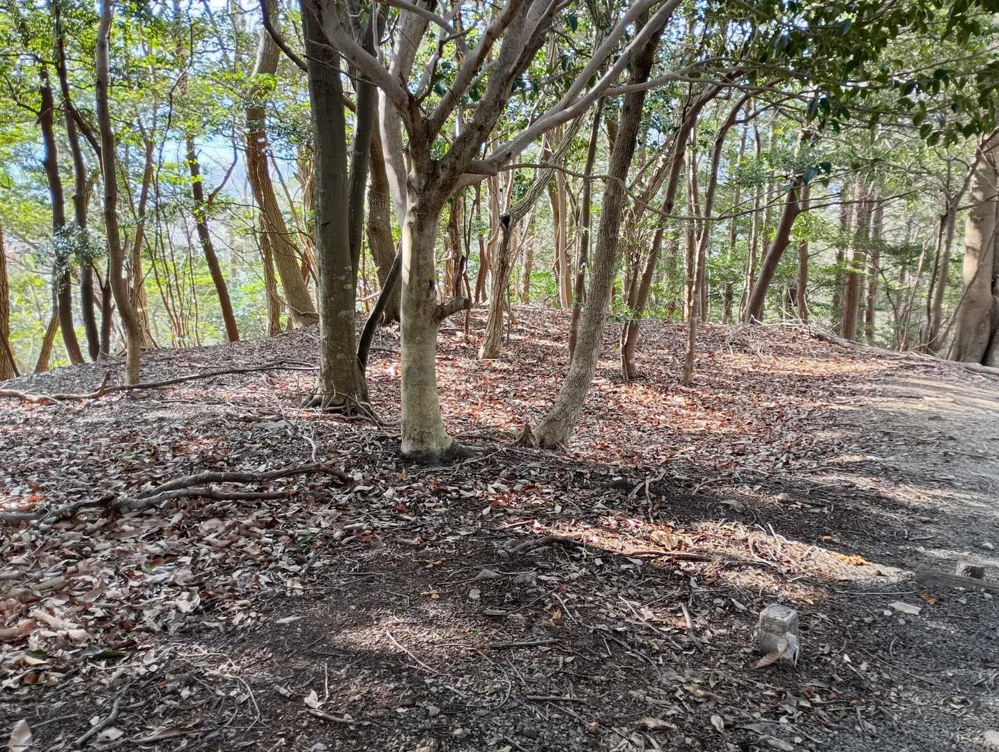 郭跡😻