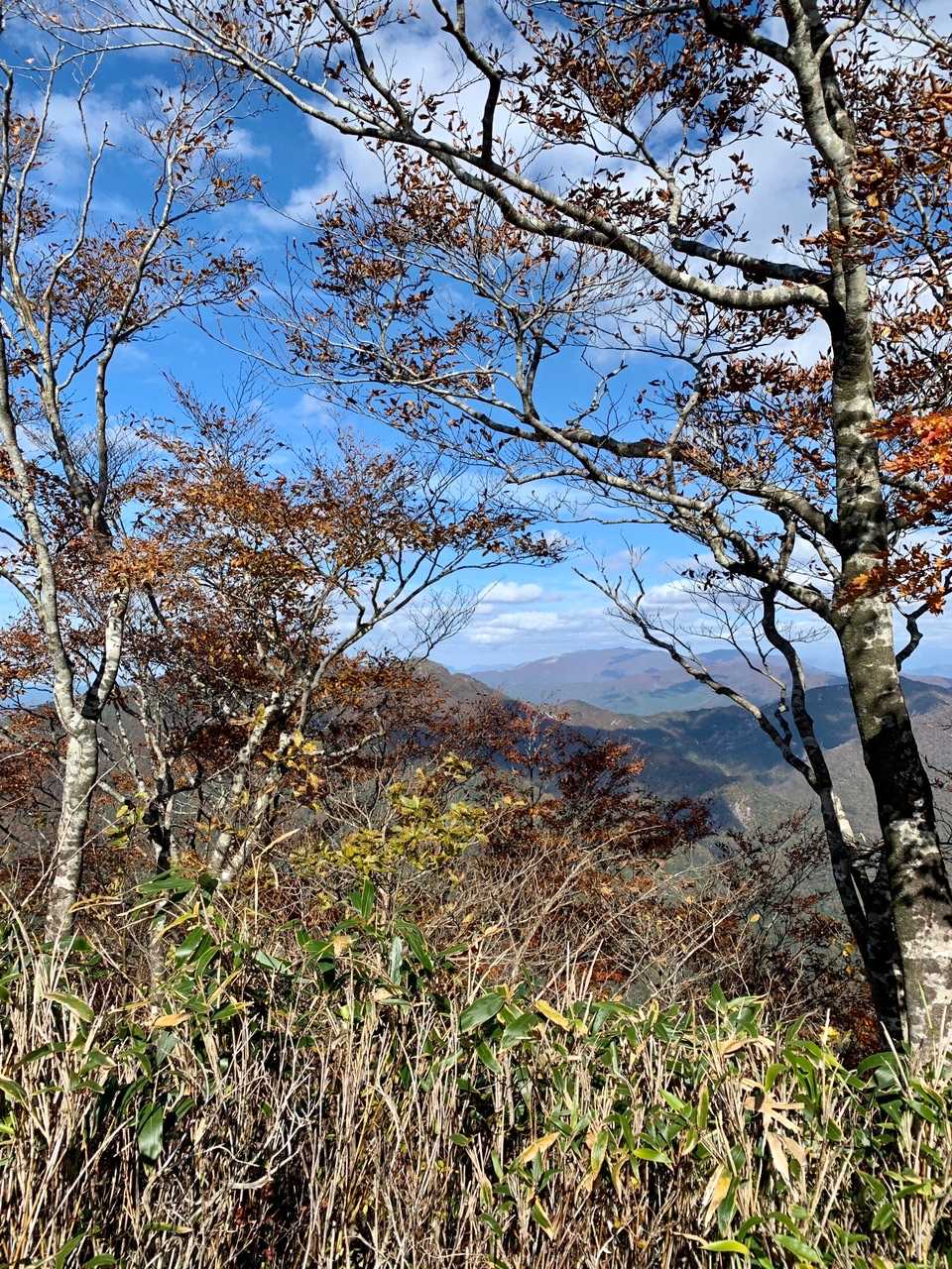 金草岳方面
