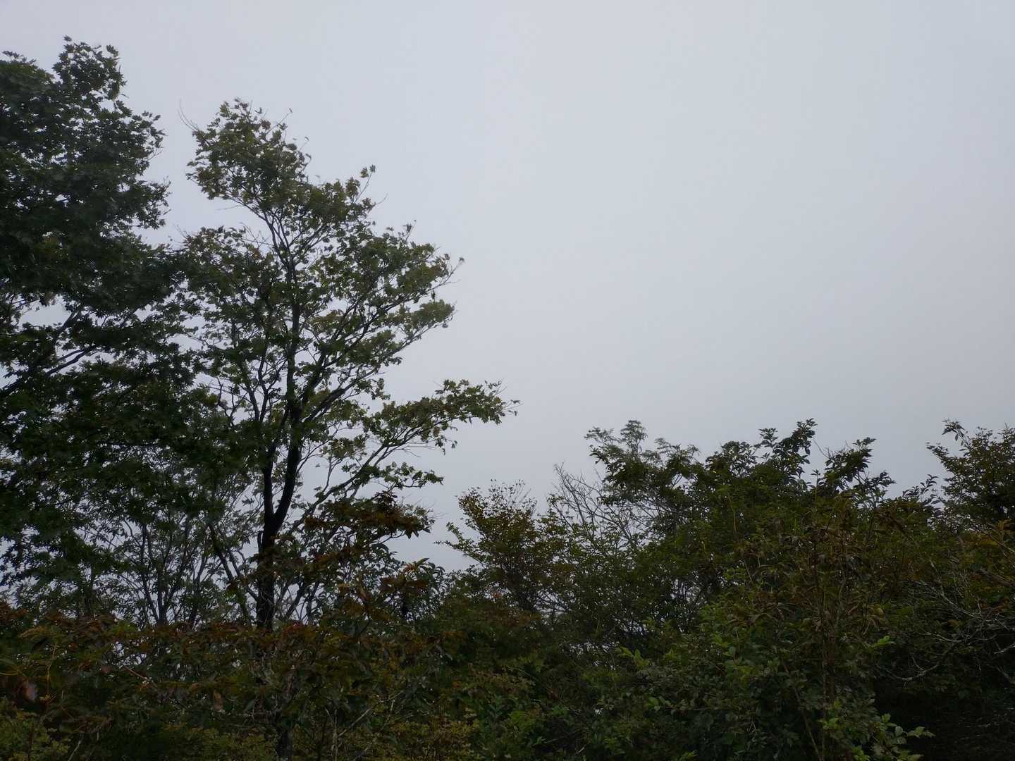 空は真っ白