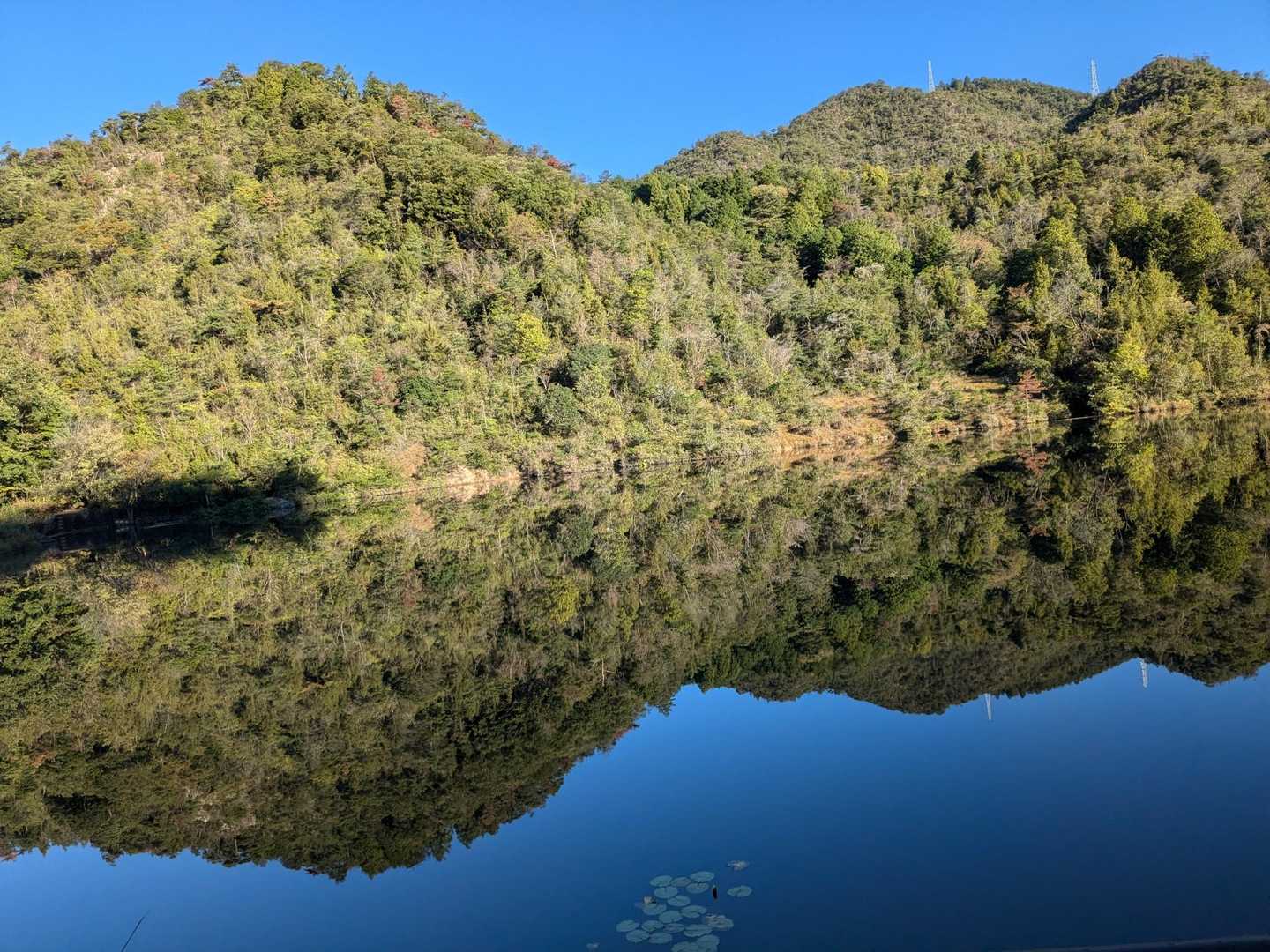 池が鏡みたいになっててキレイ😍✨