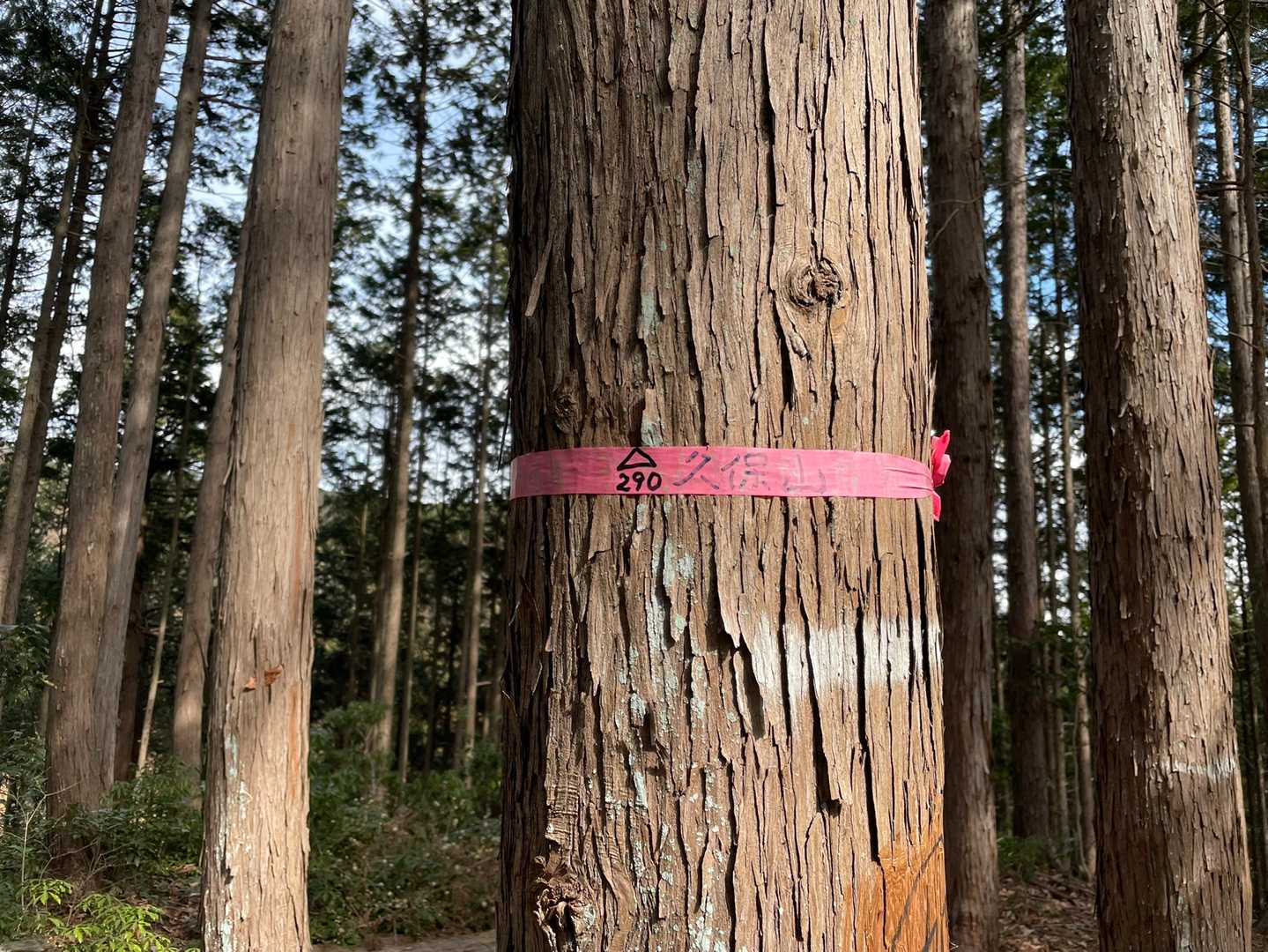 なんだかんだで久保山に到着しました。290m。良かったです！