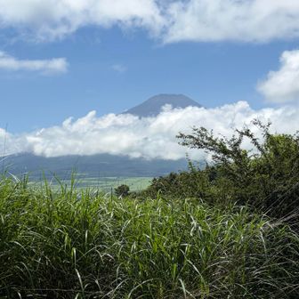 頭が出てきました！